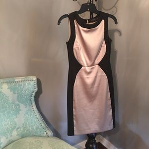 Black and Gold Pencil Dress The Limited